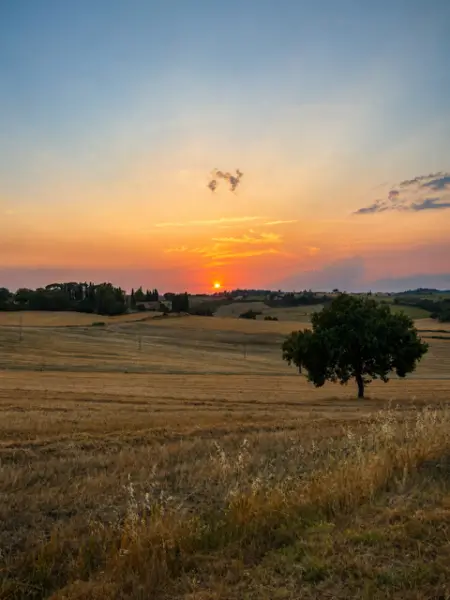 zonsondergang met diepe oranje tinten, heuvels en gerstvelden.