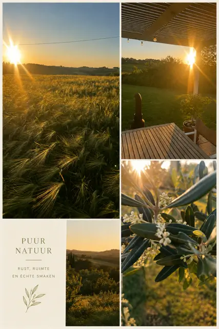 Fotocollage bij zonsondergang: gerstveld, terras onder pergola met lichtjes, glooiend Toscaans landschap en bloeiende olijftak, met de tekst 'Puur Natuur - Rust, ruimte en échte smaken'