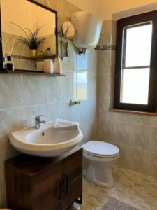 Badkamer met wasbak en daarboven een spiegel. Toilet en raam.
